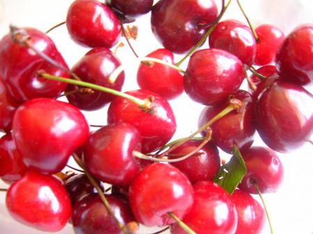 Oo Le temps des cerises oO